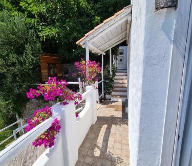 Torre del Mare Apartment | Soqquadro Art&Relax - Spotorno (SV) Sea View