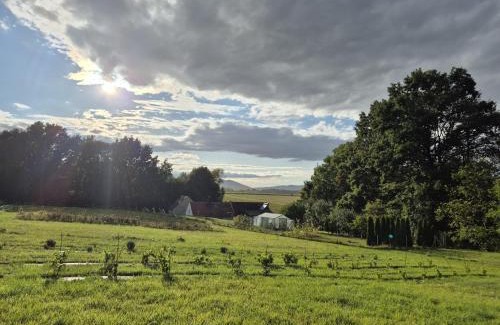 Kamieniec Zabkowicki House | Sosnowa 61