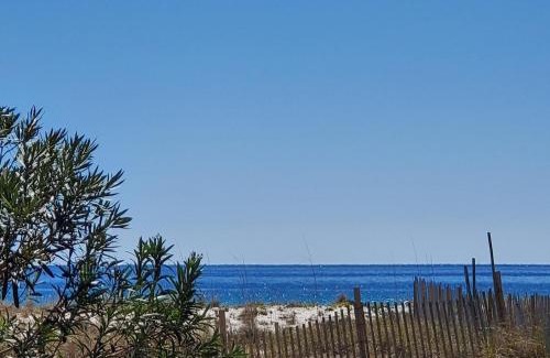 Destin House | SouthBay by the Gulf #122 - Salty Paws