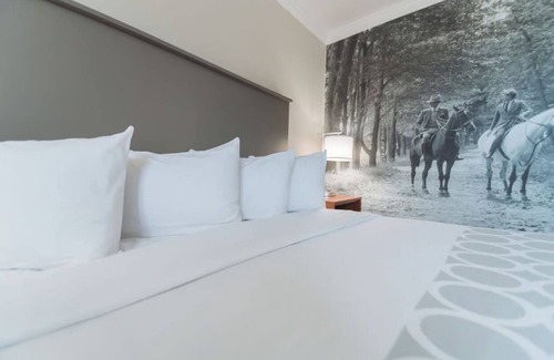 Ocala Hotel | Spa Suite at Equus Inn, Free Breakfast & Parking, Pet-friendly