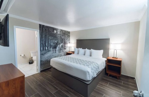 Ocala Hotel | Spa Suite Junior at Equus Inn, Outdoor Seasonal Pool, Free Breakfast