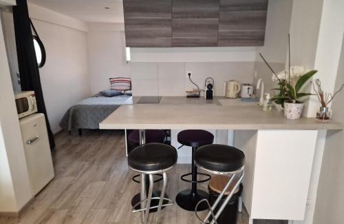 Saint-Georges-de-Reneins Apartment | spacieux studio dans le Beaujolais