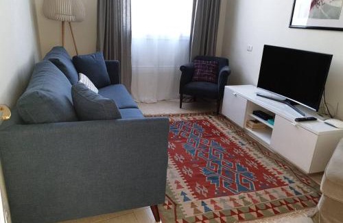Vegueta Apartment | Spacious Apartment with Terrace in Las Palmas 80 sqm A/C