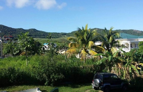 Monkey Hill Apartment | Spacious 1BR 1BA Apt only 8 minutes from airport