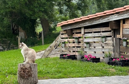 Riotuerto Cottage | Spacious 5-bedroom cottage in wonderful Riotuerto with WiFi