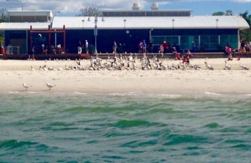 Parkwood House | Spacious 7-Bedroom Retreat with Private Pool and near Theme Parks & Beaches