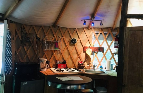 Trumansburg Cabin | Spacious, airy yurt is delightful for glamping in comfort!