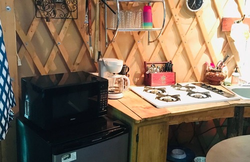 Trumansburg Cabin | Spacious, airy yurt is delightful for glamping in comfort!