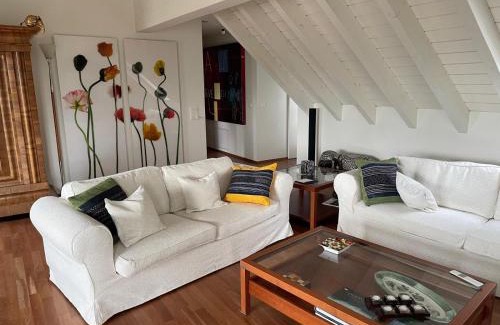 Hottingen Apartment | Spacious and stylish Apartment in Zurich