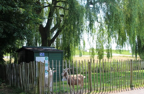 Zevenhuizen House | Spacious holiday home with terrace