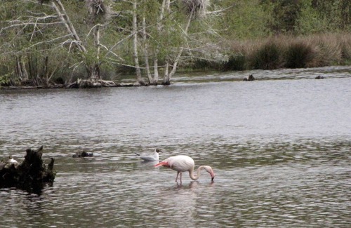 Eibergen House | Spacious holiday home in Eibergen with a terrace
