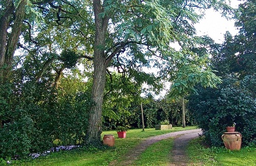 Montoldre House | Spacious house, pets allowed, enclosed land 3000m2 with very nice view !