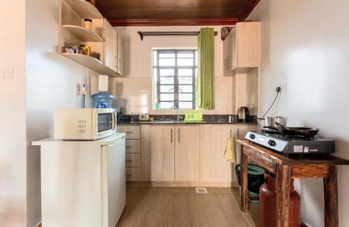 Ngara West Apartment | Spacious Penthouse Rooftop Studio with King bed