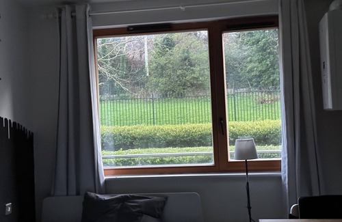 Stepaside Apartment | Spacious room with a relaxing view