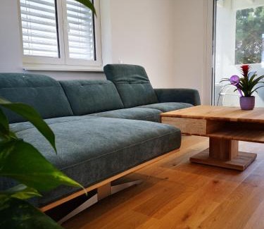 Eggenberg Apartment | Spacy Apartment next to the center of Graz with terrasse