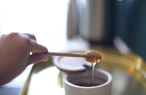 Palisade Hotel | Spoke and Vine Motel