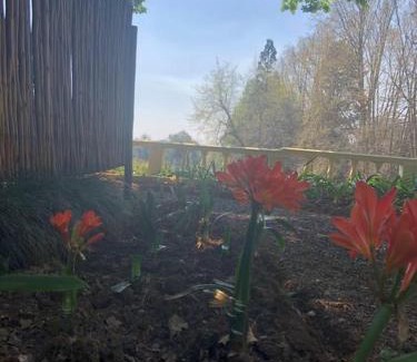 Nottingham Road Apartment | Spring Close Boutique Cottage Nottingham Road