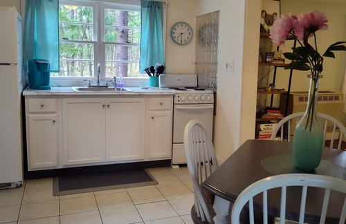 Sherwood Forest House | Spring in the Berkshires! Dog friendly, Hot Tub, Hiking, Canoe, Biking