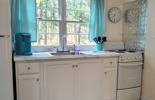 Sherwood Forest House | Spring in the Berkshires! Dog friendly, Hot Tub, Hiking, Canoe, Biking