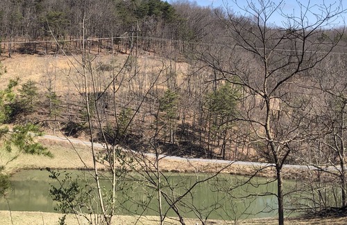Berkeley Springs Cabin | SPRING IS HERE!!! RUSTIC/MODERN Log Cabin!! Hot Tub~King Bed~Fire pit~Wi-Fi