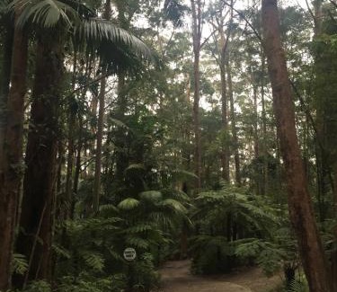 Springbrook Cabin | Springbrook Mountain Chalets