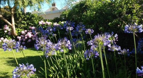 Bergvliet House | Squirrel's End