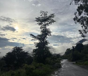 Kotabagh House | Squirrel snuggle2