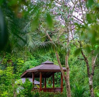 Khuekkhak Villa | Sriwaree Pool Villa Khao Lak - 8 meters pool - 3 bedroom - 2 bath
