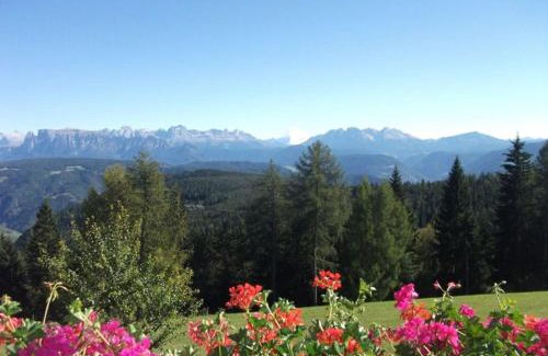 San Genesio Atesino Apartment | Stücklhof Wohnung Veilchen