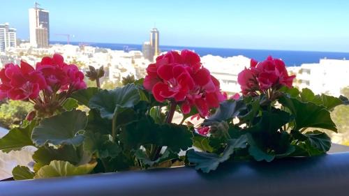 Ta' Giorni Apartment | St. Julian's Super Bright And Spacious Seaview Apartment