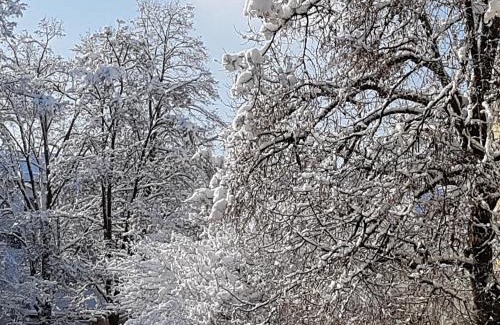 Skawa House | Staś -przy szkole nr 3 w Skawie