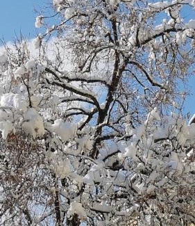 Skawa House | Staś -przy szkole nr 3 w Skawie