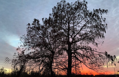 Bourg Cabin | "Stab'n Kab'n on the Bayou" - 4bd w/free boat launch access, Hunt Fish Explore!
