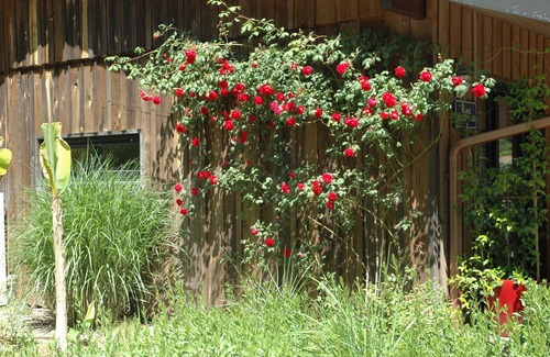 Leon Villa | STANDING VILLA NEAR OCEAN-GOLF-LAKE-PEACEFUL ACTIVITIES IN PEACE