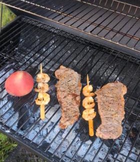 Pine City House | Stargazing Dome on secluded 56 acres - Solidago