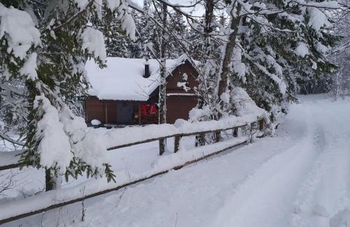 Ravna Gora House | Starry Laz mountain house
