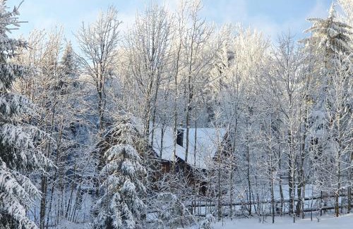 Ravna Gora House | Starry Laz mountain house