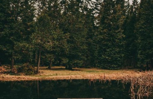 Douglas County Other | Starry Skies Campout