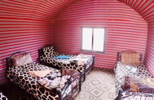 Wadi Rum Bed & Breakfast | stars magic camp