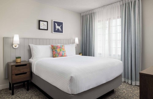 Thornhill Hotel | Stay Comfortably in a Pet-Friendly Suite with Swimming Pool Near Attractions