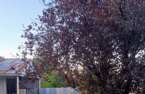 Burra RV Rental | Stay on one of Burra's historic properties. Quiet and private, 2kms from town.