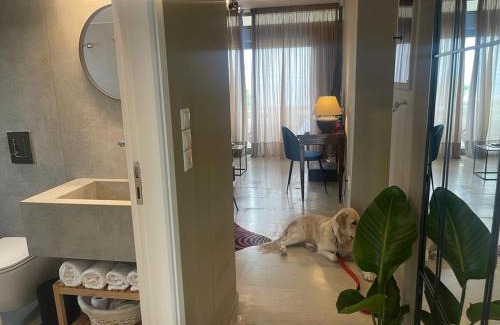 Rafina Apartment | Stefania sea view apartment