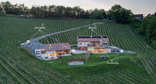 Gamlitz House | steiRerBLiCke - Domaine Sernau Sauvignon