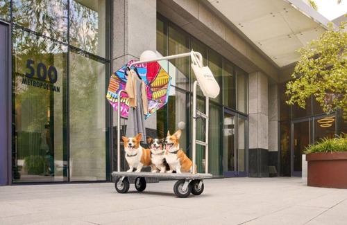 Williamsburg House | Step into our vibrant room located among the charming residential !