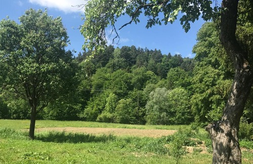 Olszanica Other | Stephova Vola Camper Park