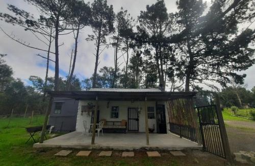 Elgin Apartment | Stone Cottage