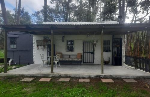 Elgin Apartment | Stone Cottage