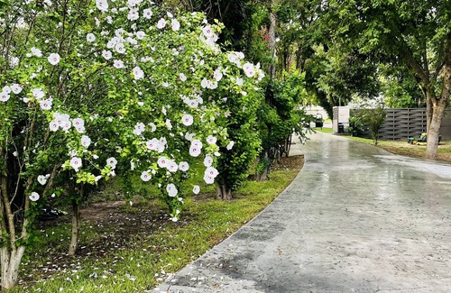 Fredericksburg Cottage | Stoney Creek Suite @ Lost Creek Lodge 2 Blocks to Main Street Shop/Restaurants