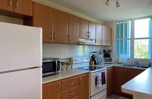 Loiza Apartment | STOP ✋THIS IS THE ONE Affordable Caribbean Vacation at a Beautiful Beach Resort