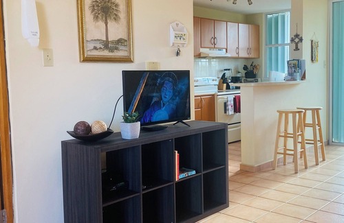 Loiza Apartment | STOP ✋THIS IS THE ONE Affordable Caribbean Vacation at a Beautiful Beach Resort